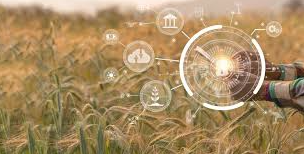 New Technologies in Agriculture (2025 Edition)